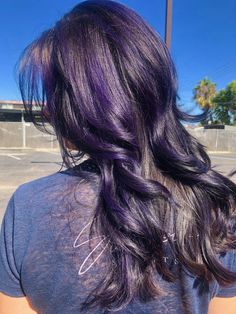 Dark Purple In Brown Hair, Violet Highlights On Black Hair, Subtle Purple Hair Brunettes, Purple Straight Hair, Blue Purple Black Hair, Dark Purple Highlights Brown Hair, Purple Dye On Brown Hair No Bleach, Dark Purple And Black Hair