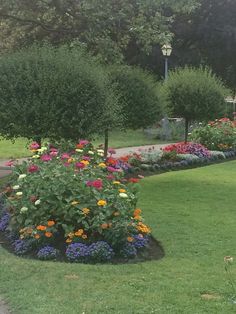 a park with lots of colorful flowers and trees