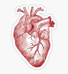 the human heart sticker is shown in red