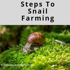 a snail sitting on top of green moss with the words, steps to small farming