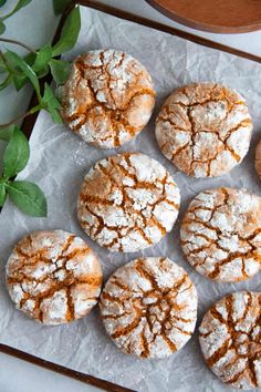 six powdered sugar cookies sitting on top of a piece of wax paper next to a potted plant