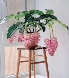 a wooden stool with pink flowers in it