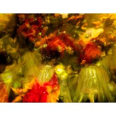 blurry photograph of red and yellow flowers in vases