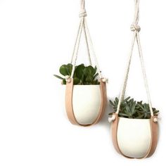 two hanging planters with succulents in them, one white and the other brown