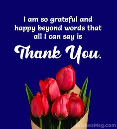 a bouquet of red tulips sitting on top of a blue background with the words, i am so grateful and happy beyond words that all i can say is thank you