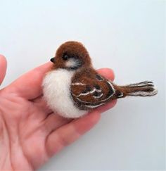 a small bird sitting on top of someone's hand