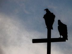 two birds perched on top of a cross in the evening sky, silhouetted against an overcast sky