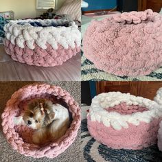 four different types of pet beds with a dog in one bed and the other on the floor