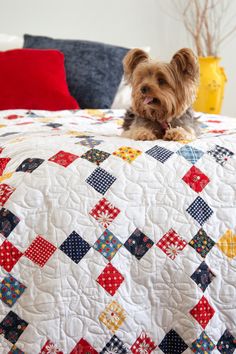 Shop this Easy Mixed Color Nine Patch on Point Quilt Pattern by Missouri Star. One little tweak can transform the appearance of a quilt! We set a classic nine-patch block on point and see the quilt in a fresh, new light. Jelly Roll Projects, Happy National Dog Day, Tiled Quilt, Missouri Star Quilt Company, Nine Patch Quilt, Quilt Care, Nine Patch, Strip Quilts