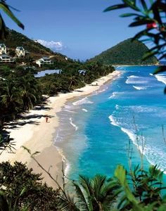 the beach is surrounded by palm trees and blue water