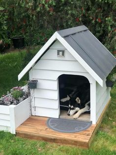 a black and white dog laying in a small house shaped like a doghouse with its door open