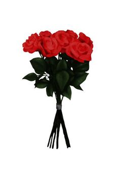 a bouquet of red roses on a white background