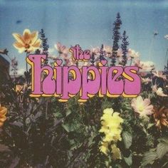 an advertisement for the hippies featuring flowers in front of a blue sky and clouds