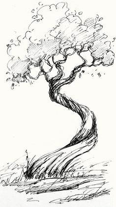 an ink drawing of a tree on paper