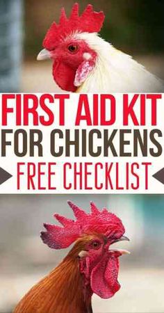 the first aid kit for chickens is free checklist