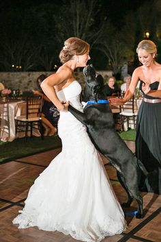 a woman in a wedding dress is petting a black dog on the dance floor