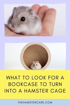 hamster house, hamster cage, hamster habitat, hamster bookcase cage, hamster pet, hamster care, hamster care guide, hamster guide, hamster, hamster tips, pets, rodents, best pets, hamster proper care, syrian hamster, dwarf hamster, hamster care tips, how to take care of a hamster Creative Bookcases, Bookshelf Door