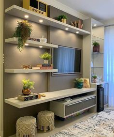 a living room filled with furniture and lots of plants on top of it's shelves