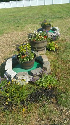 there are many potted plants on the lawn and in the yard, along with some rocks