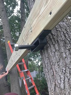 a man standing next to a tree with a ladder