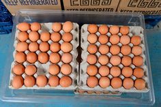 two trays filled with brown eggs sitting on top of a blue table next to cardboard boxes