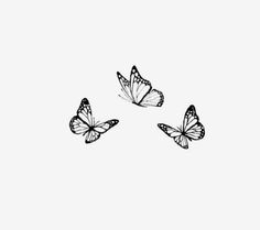 three black and white butterflies flying in the sky