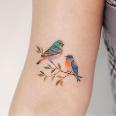 two small birds on a branch with leaves around it's ankles, one is blue and the other is orange