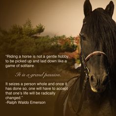 a black horse standing next to a tree with a poem written on the back of it