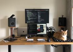 an orange cat sitting on top of a desk next to a computer monitor and keyboard