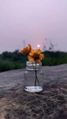 a glass jar with flowers in it sitting on top of a stone slab at dusk