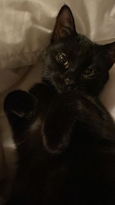 a black cat laying on top of a white sheet covered bed with it's paws in the air