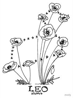 flowers with the word ho written in black ink on a white background, surrounded by stars