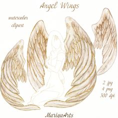 the angel wings are drawn in watercolor and ink