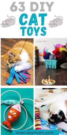 the cat toys are all different colors and sizes