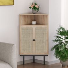 a living room with a couch and a cabinet in it's corner area next to a potted plant