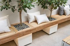 some plants are sitting on wooden benches with white pillows