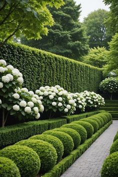 a row of hedges with white flowers in the center and green bushes on either side