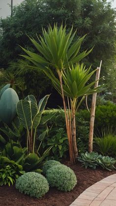 an outdoor garden with various plants and trees in it, including large green palm trees