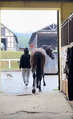 a man leading a horse out of an open barn door with another person walking behind him