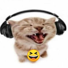 a cat wearing headphones with its mouth open