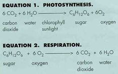 the instructions for how to use an oxygen solution