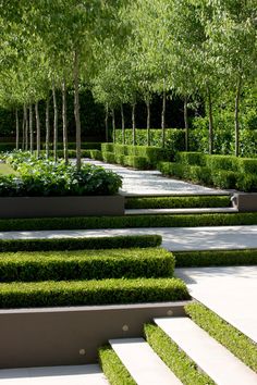 an outdoor garden with trees and plants in the center, surrounded by concrete steps that lead up to it