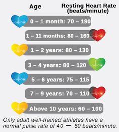 the heart rate chart shows how many people are in their 30 - 60 year old age