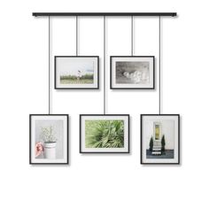 four frames hanging on the wall with plants and pictures in them, one has a white vase