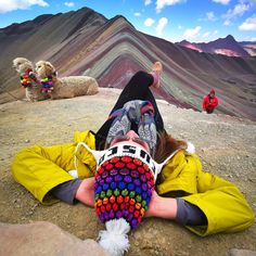 a woman is laying on the ground with her feet up in the air and two llamas behind her