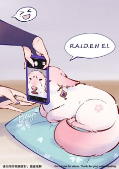 a person taking a picture of a dog laying on its back with a cell phone