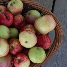 a basket filled with lots of red and green apples