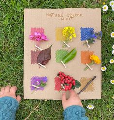 a child's hand is pointing at flowers on a piece of paper that says nature collage hunt