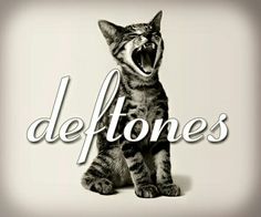 a black and white photo of a cat with the words deftones in front of it