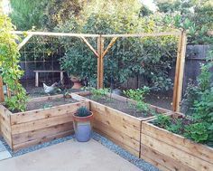 an outdoor garden area with raised wooden planters